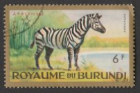 6F-burundi-zebra